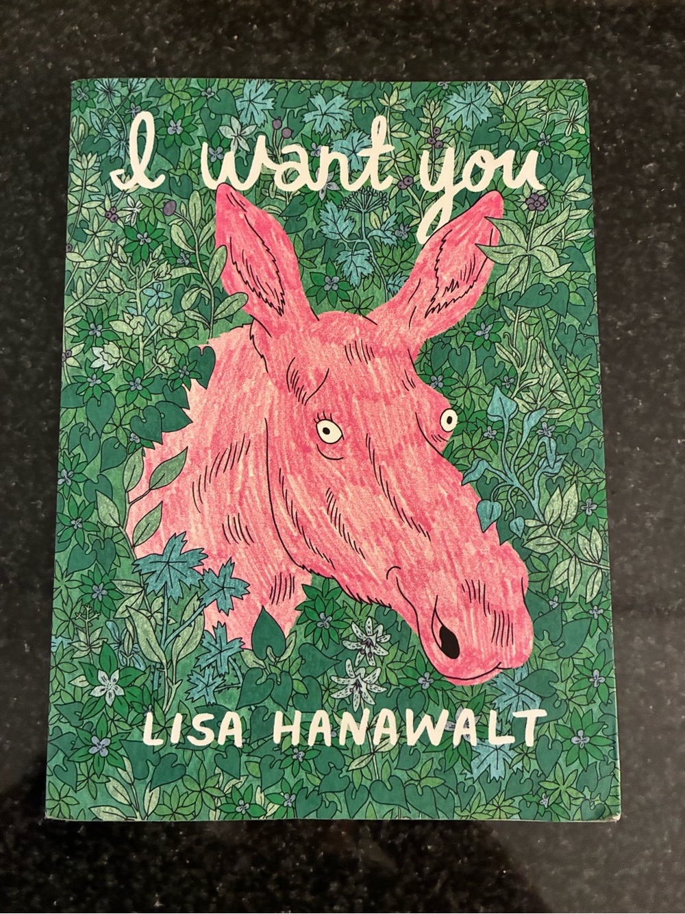 Lisa Hanawalt - I Want You RARE Comedy Graphic Novel - Bojack Horseman - Comics